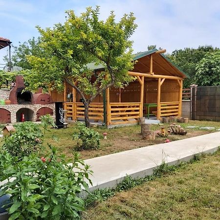 ヴァマ・ヴェケCasa Calinアパートメント エクステリア 写真