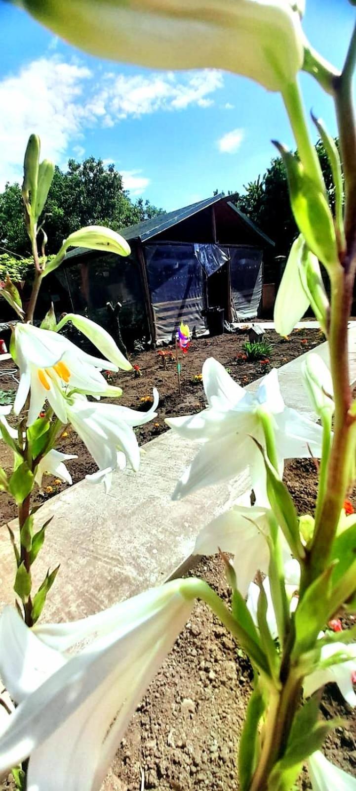 ヴァマ・ヴェケCasa Calinアパートメント エクステリア 写真